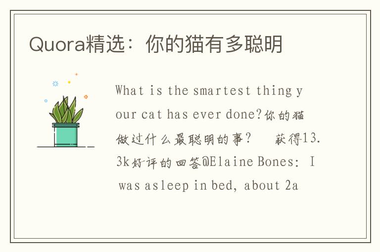 Quora精选：你的猫有多聪明