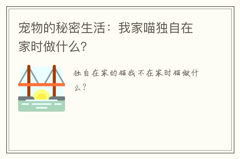 宠物的秘密生活：我家喵独自在家时做什么？