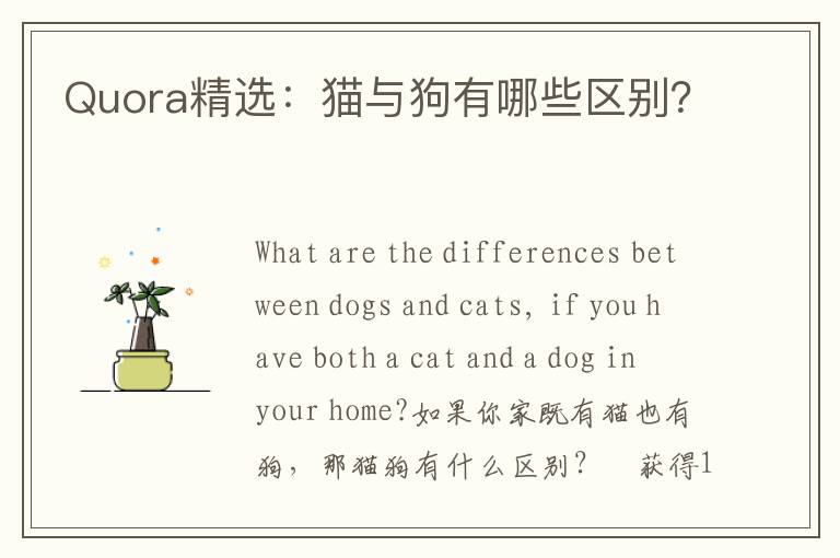 Quora精选：猫与狗有哪些区别？