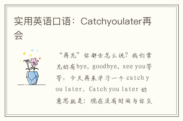 实用英语口语：Catchyoulater再会