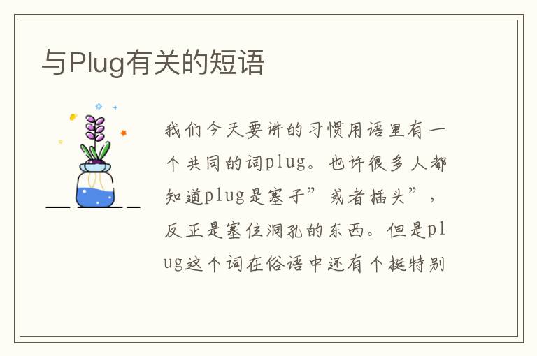 与Plug有关的短语