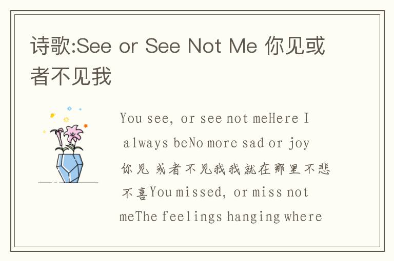 诗歌:See or See Not Me 你见或者不见我