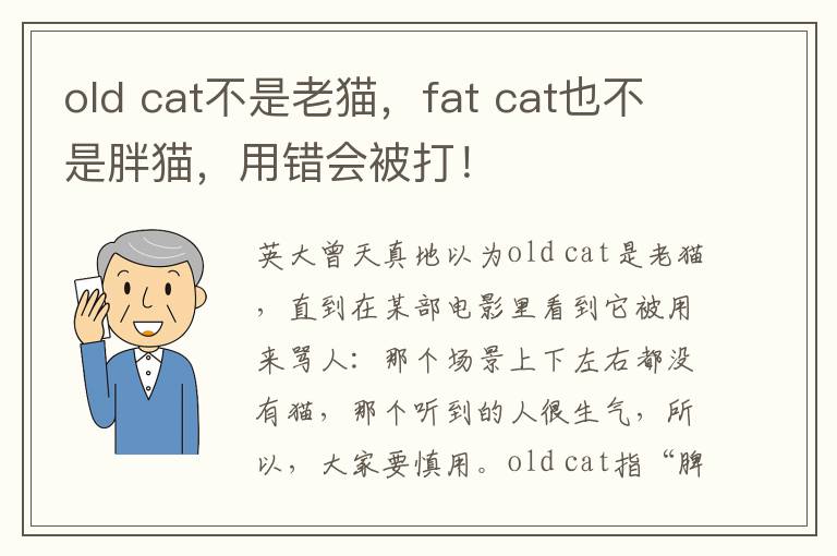 old cat不是老猫，fat cat也不是胖猫，用错会被打！