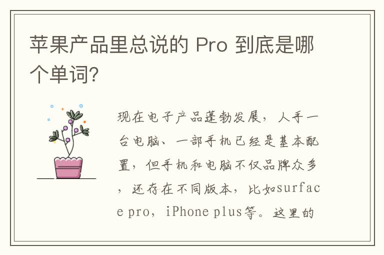 苹果产品里总说的 Pro 到底是哪个单词？