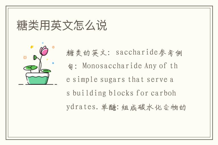 糖类用英文怎么说