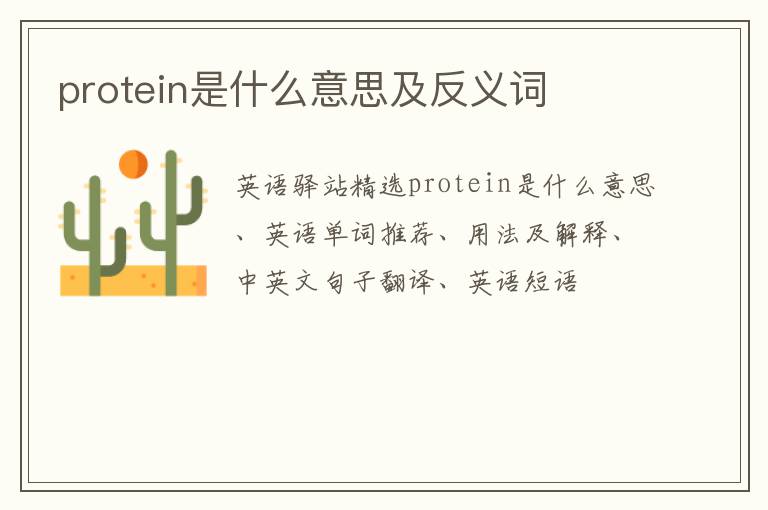 protein是什么意思及反义词