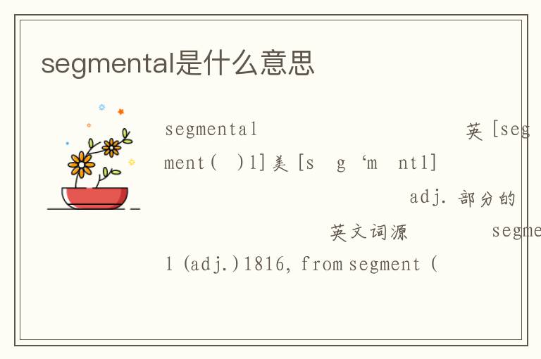 segmental是什么意思