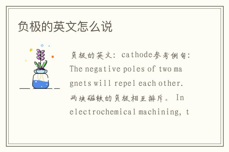 负极的英文怎么说