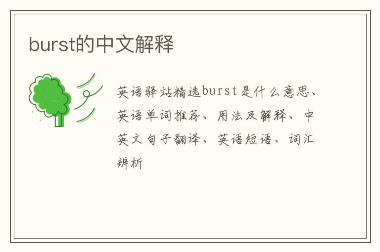 burst的中文解释