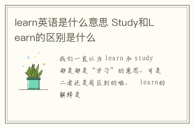 learn英语是什么意思 Study和Learn的区别是什么