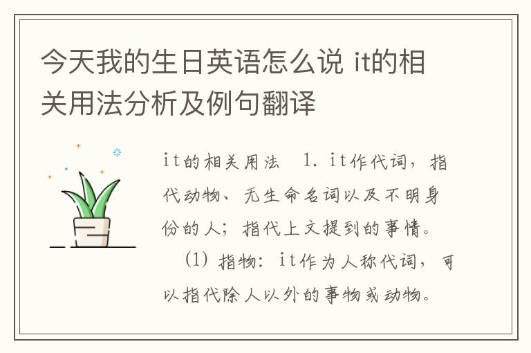 今天我的生日英语怎么说 it的相关用法分析及例句翻译