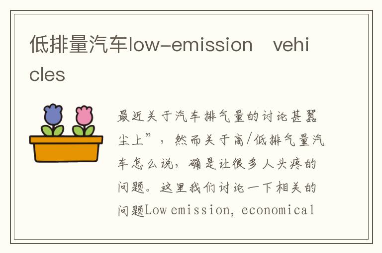 低排量汽车low-emission　vehicles