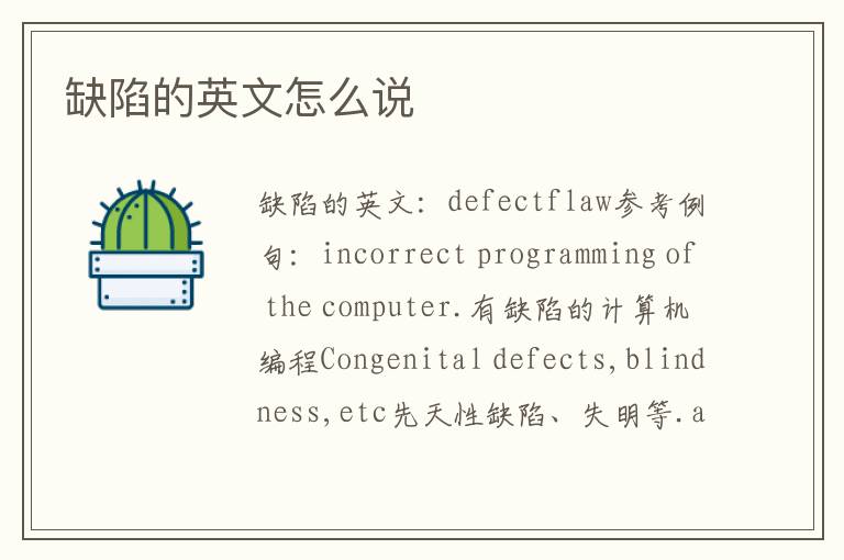 缺陷的英文怎么说