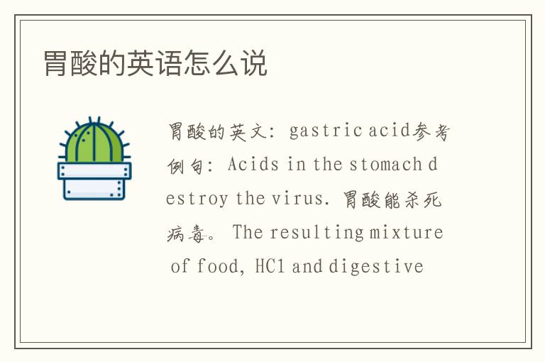 胃酸的英语怎么说