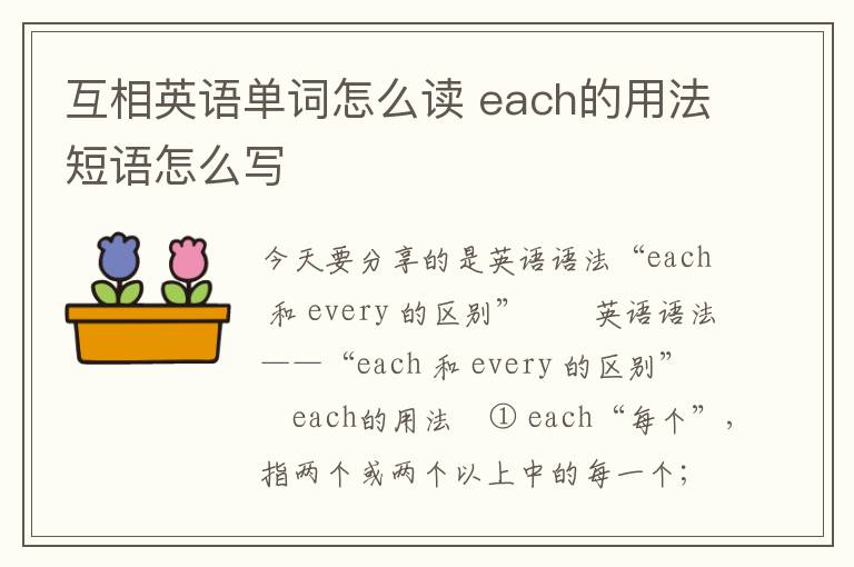 互相英语单词怎么读 each的用法短语怎么写