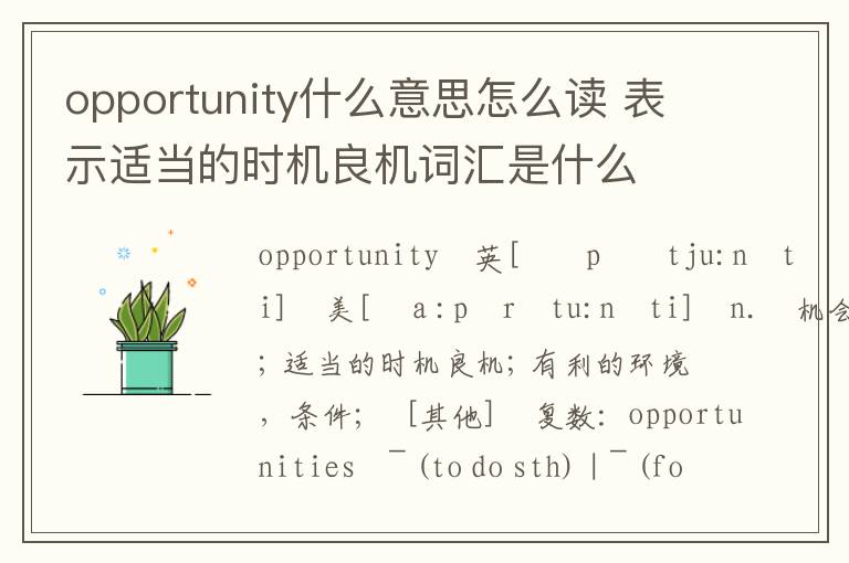 opportunity什么意思怎么读 表示适当的时机良机词汇是什么