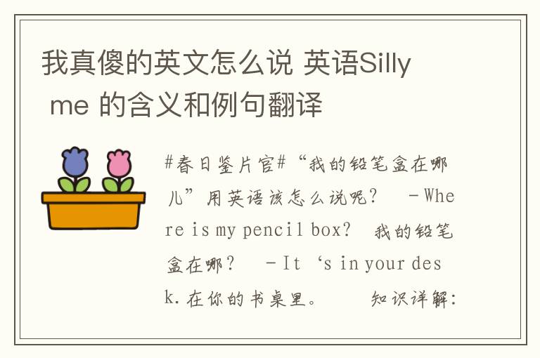 我真傻的英文怎么说 英语Silly me 的含义和例句翻译