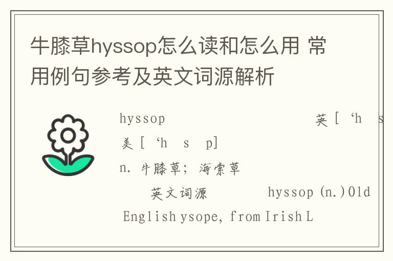 牛膝草hyssop怎么读和怎么用 常用例句参考及英文词源解析