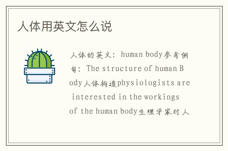 人体用英文怎么说