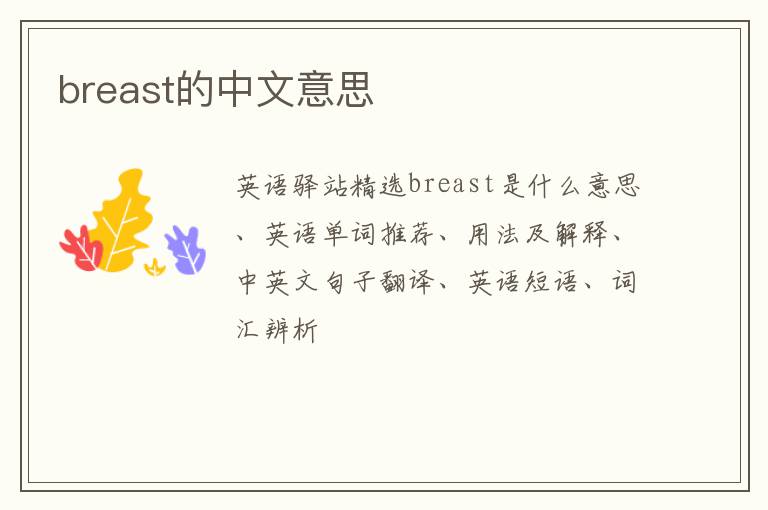 breast的中文意思