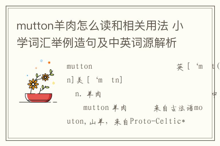 mutton羊肉怎么读和相关用法 小学词汇举例造句及中英词源解析