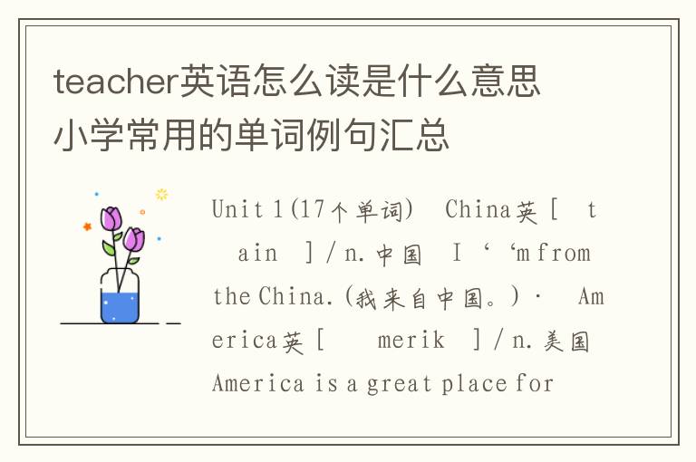 teacher英语怎么读是什么意思 小学常用的单词例句汇总