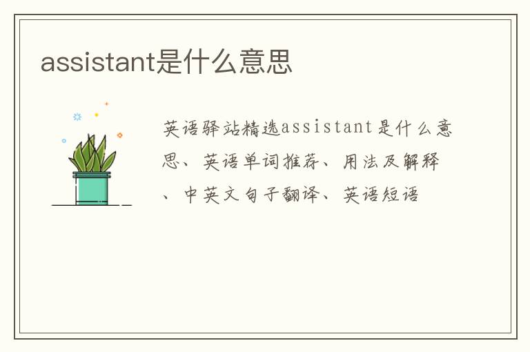 assistant是什么意思