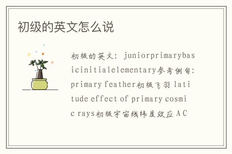 初级的英文怎么说