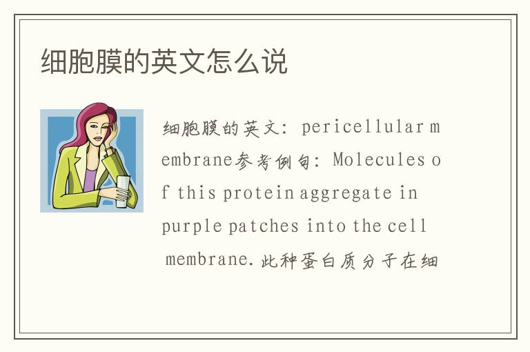 细胞膜的英文怎么说