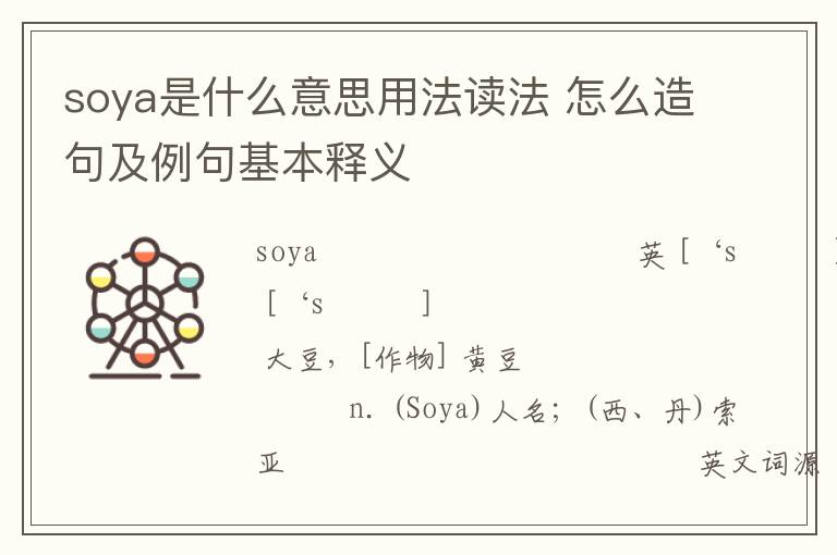 soya是什么意思用法读法 怎么造句及例句基本释义