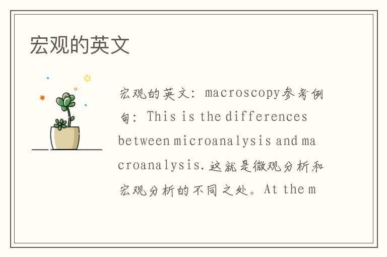 宏观的英文