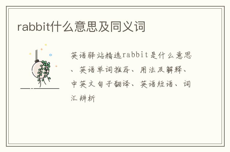 rabbit什么意思及同义词