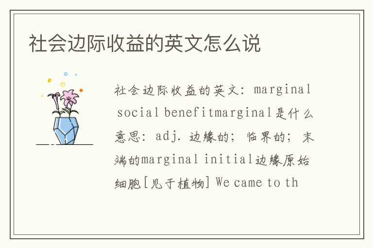 社会边际收益的英文怎么说