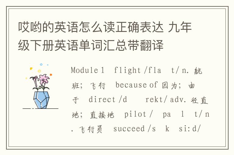 哎哟的英语怎么读正确表达 九年级下册英语单词汇总带翻译