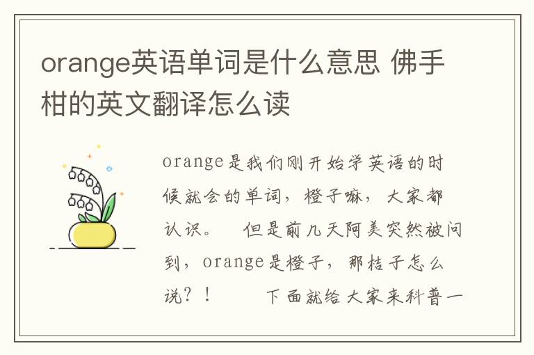 orange英语单词是什么意思 佛手柑的英文翻译怎么读