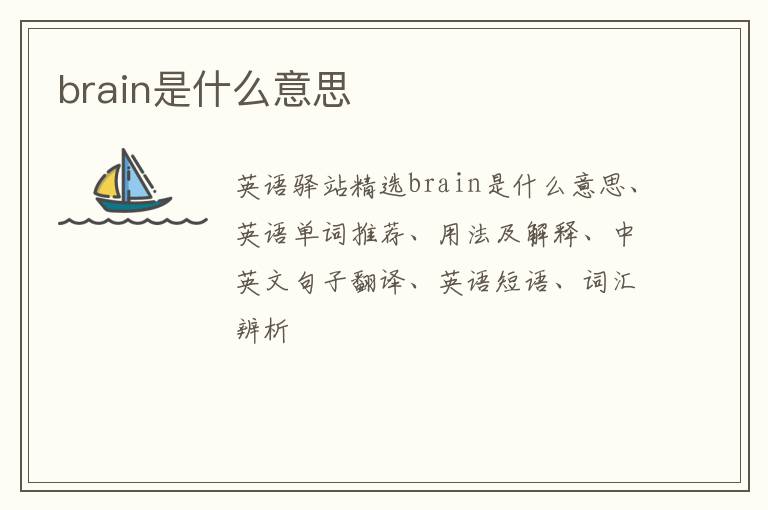 brain是什么意思