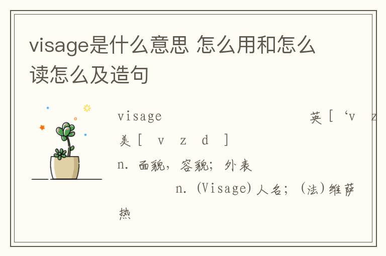 visage是什么意思 怎么用和怎么读怎么及造句