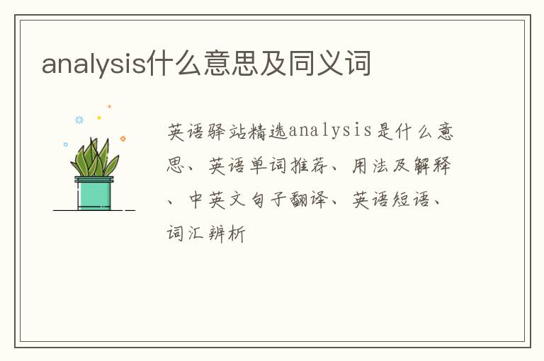 analysis什么意思及同义词