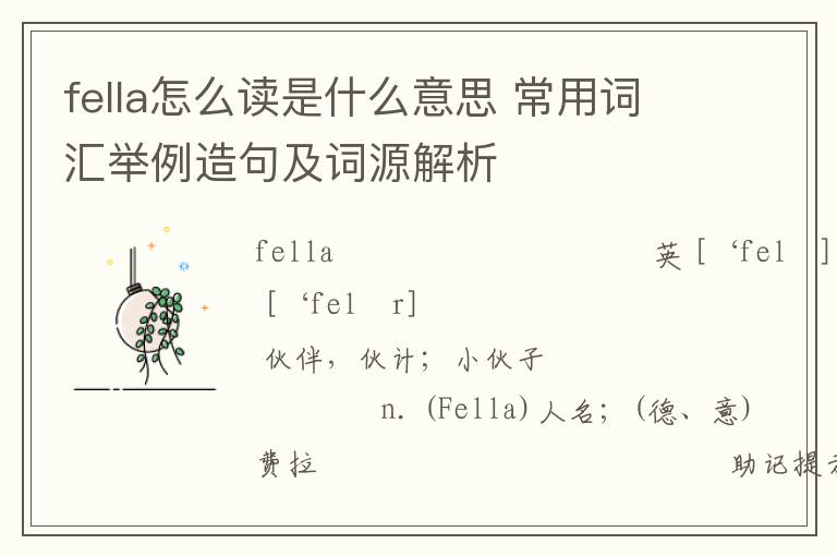 fella怎么读是什么意思 常用词汇举例造句及词源解析