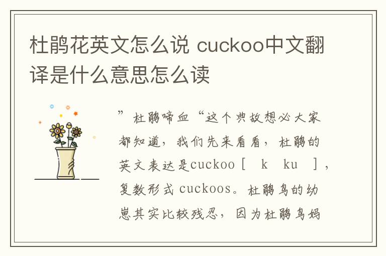 杜鹃花英文怎么说 cuckoo中文翻译是什么意思怎么读