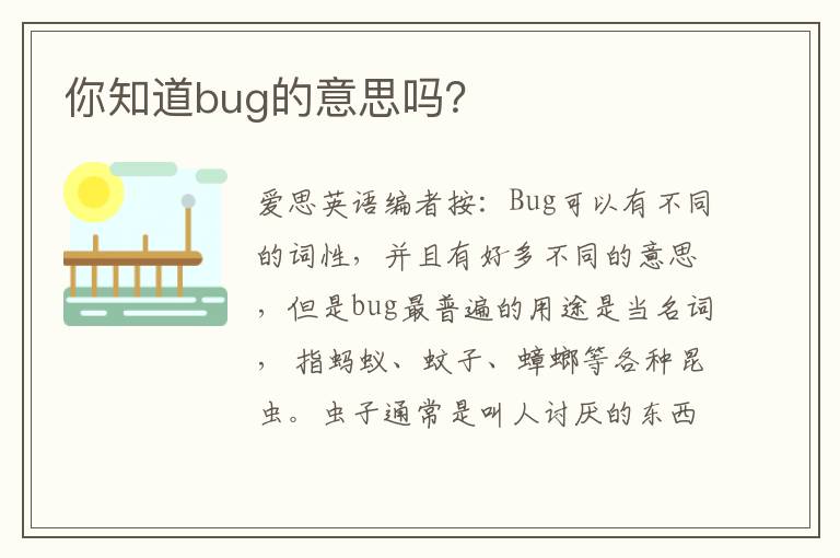 你知道bug的意思吗？