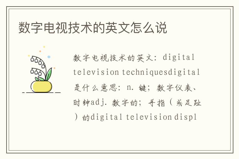 数字电视技术的英文怎么说