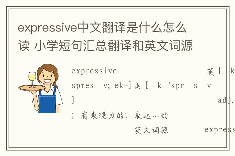 expressive中文翻译是什么怎么读 小学短句汇总翻译和英文词源