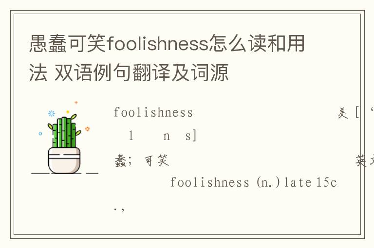 愚蠢可笑foolishness怎么读和用法 双语例句翻译及词源