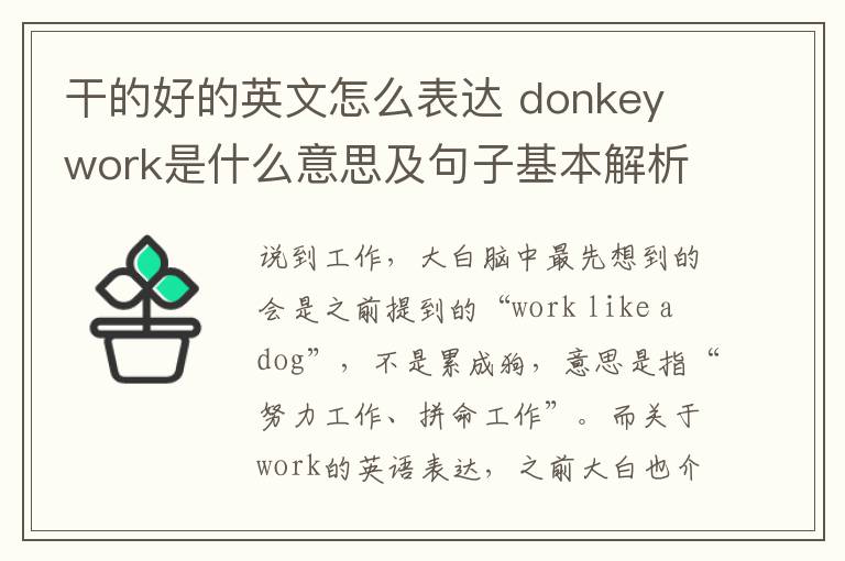 干的好的英文怎么表达 donkey work是什么意思及句子基本解析