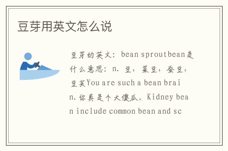 豆芽用英文怎么说