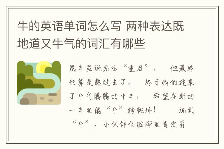 牛的英语单词怎么写 两种表达既地道又牛气的词汇有哪些