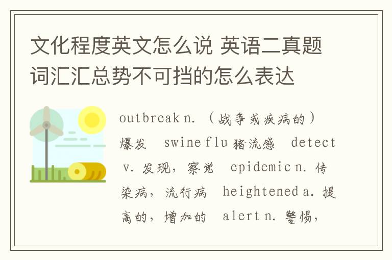 文化程度英文怎么说 英语二真题词汇汇总势不可挡的怎么表达