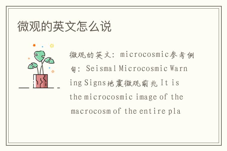 微观的英文怎么说