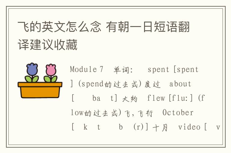 飞的英文怎么念 有朝一日短语翻译建议收藏